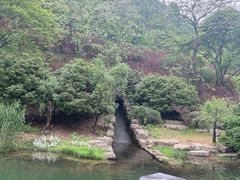-桃花岭景区