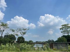 -马家湾湿地公园