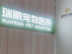 -瑞鹏宠物医院·微创内窥镜·骨外科·牙科(翠竹分院)