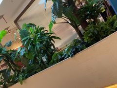 -悦海·家宴·冰花皮皮虾大锅贴(宝龙店)