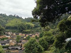 -杨家堂村