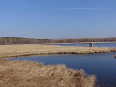 -塞罕坝国家级自然保护区