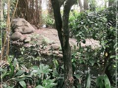 -成都市活水公园