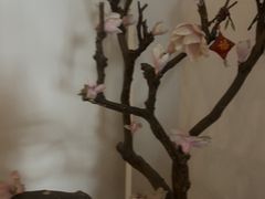 -锦初•影院式足道•新中式SPA(茂业天地店)