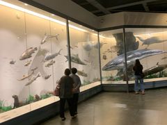 -南通博物苑-崇川人民公园