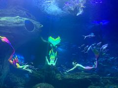 -多彩贵州城极地海洋世界