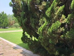 -汉陵苑