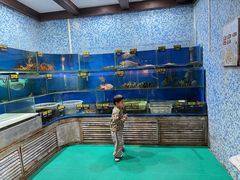 -青岛海景花园大酒店·白果树餐厅青岛菜