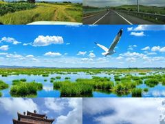 -御道口草原森林风景区