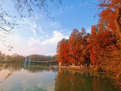 -东湖落雁景区