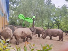 -西安秦岭野生动物园