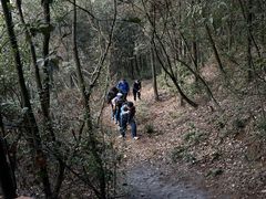 -石燕湖生态旅游景区