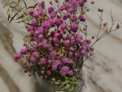-the rug 飞毯 (朝阳公园店)