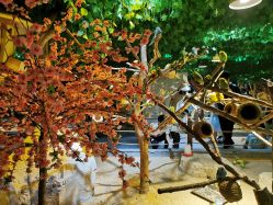 -酷嗒动物文化乐园(cutezoo西溪乐天城店)