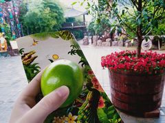 -呀路古热带植物园