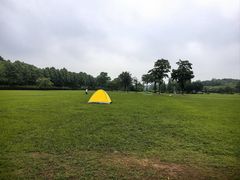 -宜兴龙背山森林公园