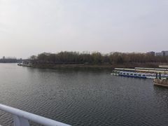 -大兴滨河森林公园