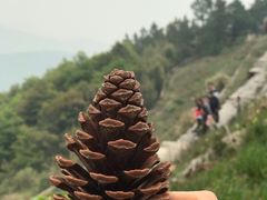 -缥缈峰景区
