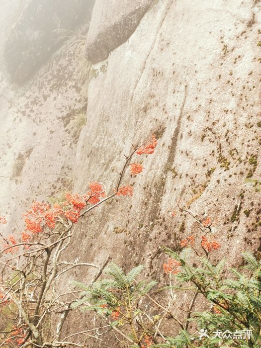 黄山风景区图片