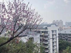 -乌山风景区