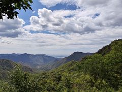 -大岭沟猕猴桃谷风景区