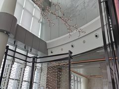 -南宁那莲豪华精选酒店-云霄酒廊·80楼高空城景酒吧