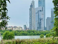 -华侨城湿地公园