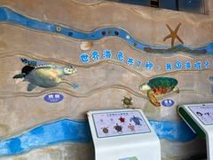 -广东惠东海龟国家级自然保护区