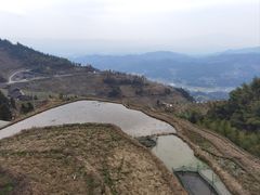 -紫鹊界梯田景区