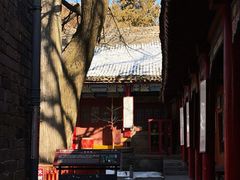 -少华山国家森林公园