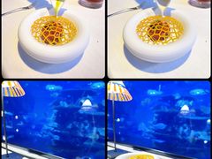 -迪拜帆船酒店海底餐厅