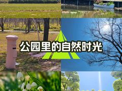 -嘉北郊野公园