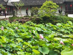 -上海醉白池公园