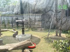 -武汉动物园