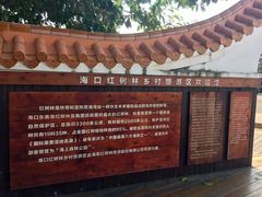 -东寨港红树林旅游区