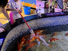 -烟台海昌鲸鲨海洋公园