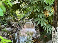 -苏州河梦清园环保主题公园