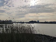 -上海山野camping·户外天幕烧烤·团建拓展营地