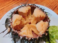 活海胆-海味当家·蒸锅海鲜(中山广场创始店)
