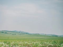 -乌兰布统草原