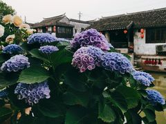 -长廊好灶头 本地人农家菜(枫泾古镇店)