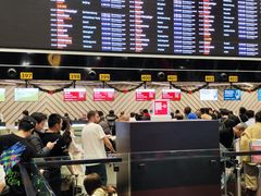 -谢列梅捷沃国际机场