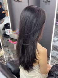 -藤野造型烫染优质