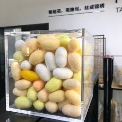 -太湖雪蚕桑文化园
