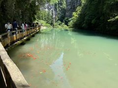 -龙水峡地缝景区