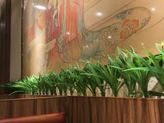 -敦煌喜宴(万达广场店)