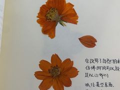 -知物癖(牛王庙店)