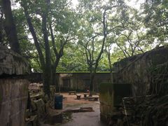 景点-威远炮台