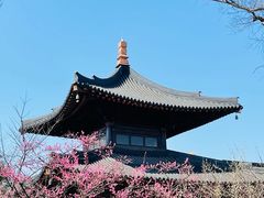 -广富林郊野公园