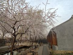 -三里河公园